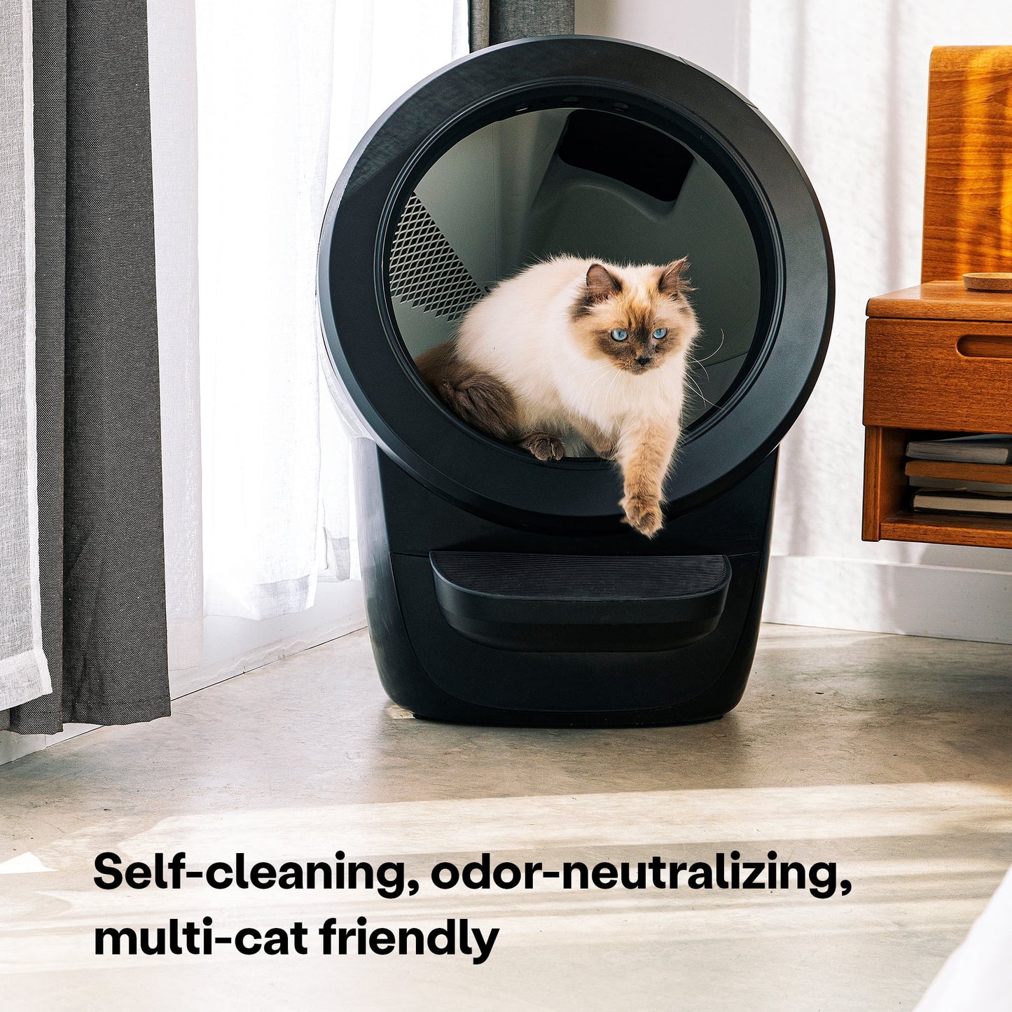2026 Whisker Litter-Robot 4 avec Marchepied – Bac à Litière Automatique Auto-nettoyant pour Chats, Noir, Technologie Avancée pour un Confort Optimal et Contrôle Intelligent des Déchets