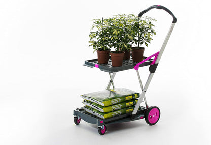 Chariots pliables, fonctionnels et polyvalents 2026 | Chariot pliable mobile | Chariot de courses avec boîte de rangement (noir)