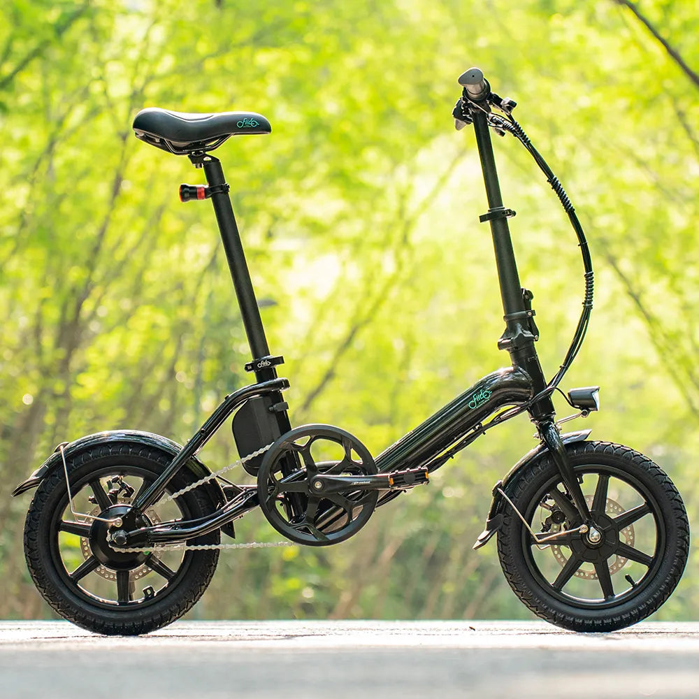 D3 Pro Mini Vélo électrique -
