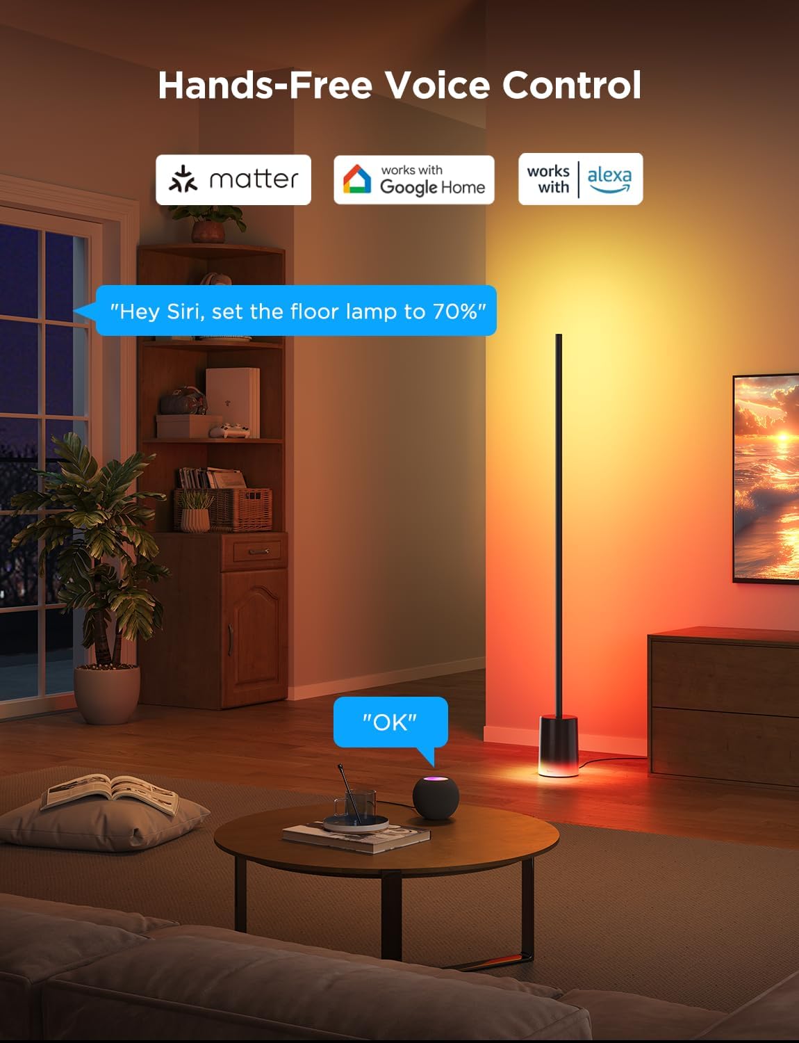 2026 Lampadaire Govee 2 avec Matter, LED RGBIC, Blanc Chaud et Froid, Compatible Alexa, 1725 lm, Synchronisation Musique, Modes Scènes, Lampadaire Intelligent pour Salon et Chambre, Noir (1 Pièce)