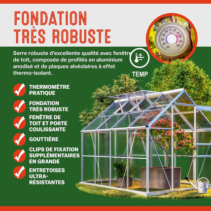 Gardebruk Serre de Jardin en Aluminium 7,63m&sup3; abri ext&eacute;rieur pour Plantes l&eacute;gumes 250x190x195cm avec fen&ecirc;tres