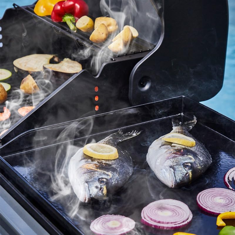 Barbecue Bi-Energy Gun Metal XL - Barbecue Charbon et Plancha 60 x 42 cm à gaz avec brûleur latéral -12,95 KW