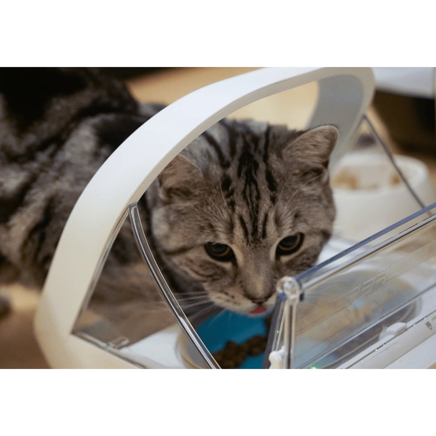 2026 Surefeed Distributeur Automatique à Microchip, Gamelle Intelligente pour Chiens et Chats