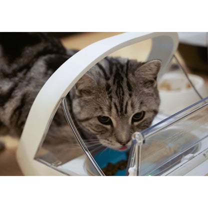 2026 Surefeed Distributeur Automatique à Microchip, Gamelle Intelligente pour Chiens et Chats