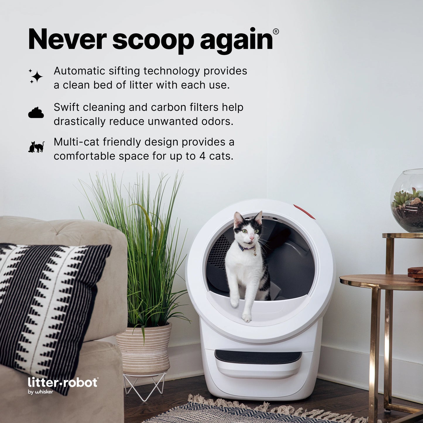 2026 Whisker Litter-Robot 4 avec Marchepied – Bac à Litière Automatique Auto-nettoyant pour Chats, Noir, Technologie Avancée pour un Confort Optimal et Contrôle Intelligent des Déchets