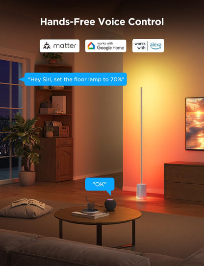 2026 Lampadaire Govee 2 avec Matter, LED RGBIC, Blanc Chaud et Froid, Compatible Alexa, 1725 lm, Synchronisation Musique, Modes Scènes, Lampadaire Intelligent pour Salon et Chambre, Noir (1 Pièce)