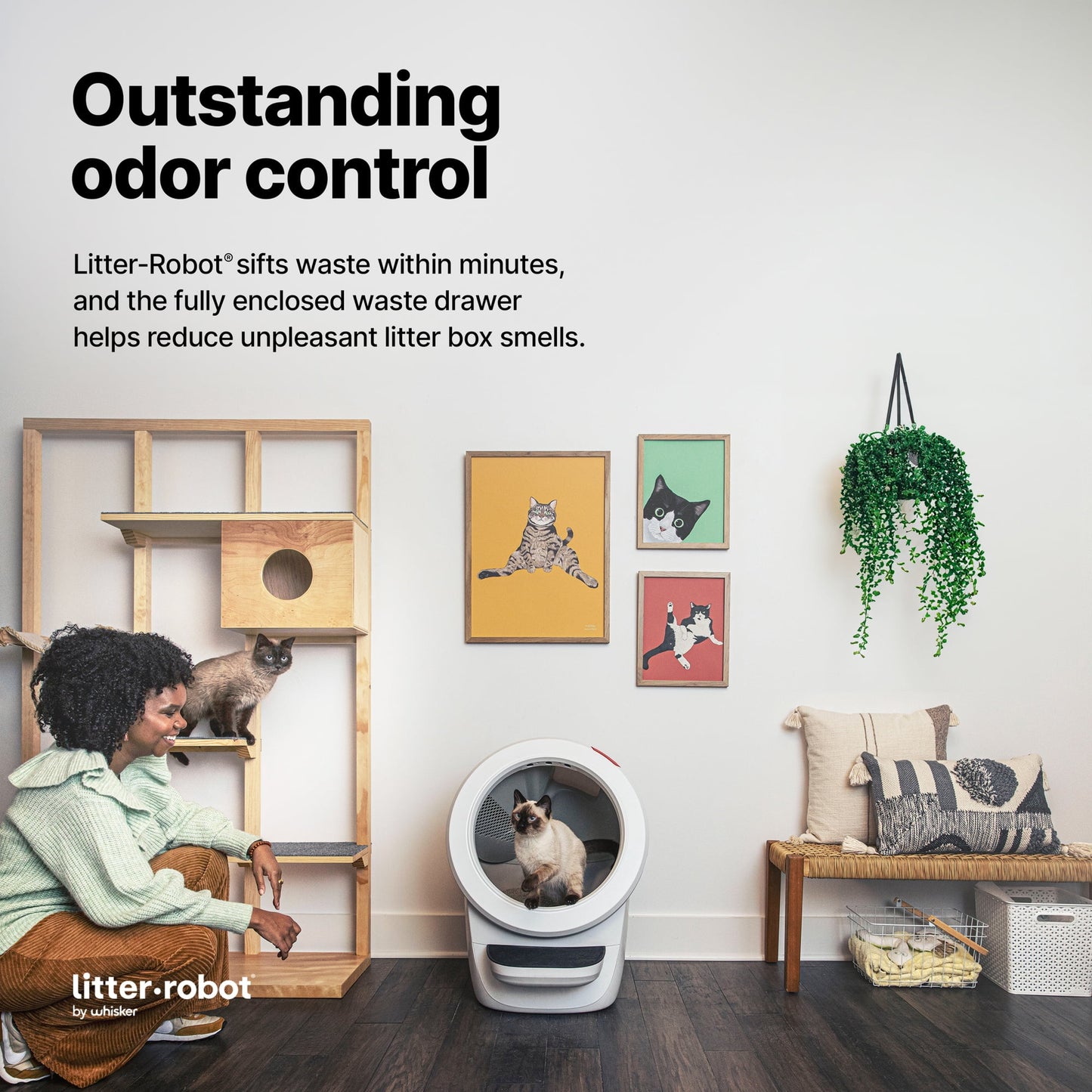 2026 Whisker Litter-Robot 4 avec Marchepied – Bac à Litière Automatique Auto-nettoyant pour Chats, Noir, Technologie Avancée pour un Confort Optimal et Contrôle Intelligent des Déchets