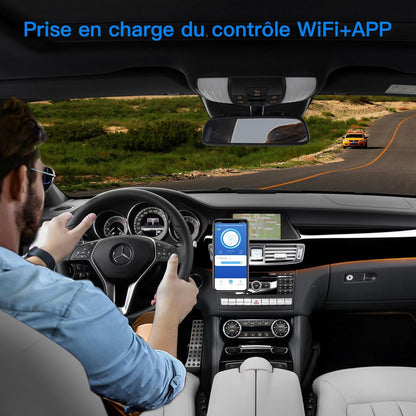 115L Glaciere Electrique Double Zone,Glaciere a Compression WiFi APP,12 V/24 V et 100-240 V Frigo Camping,-20 ℃ à 20 ℃,pour Voiture,Camion,Bateau,Camping,Car,Caravanes,Voyageant,Maison