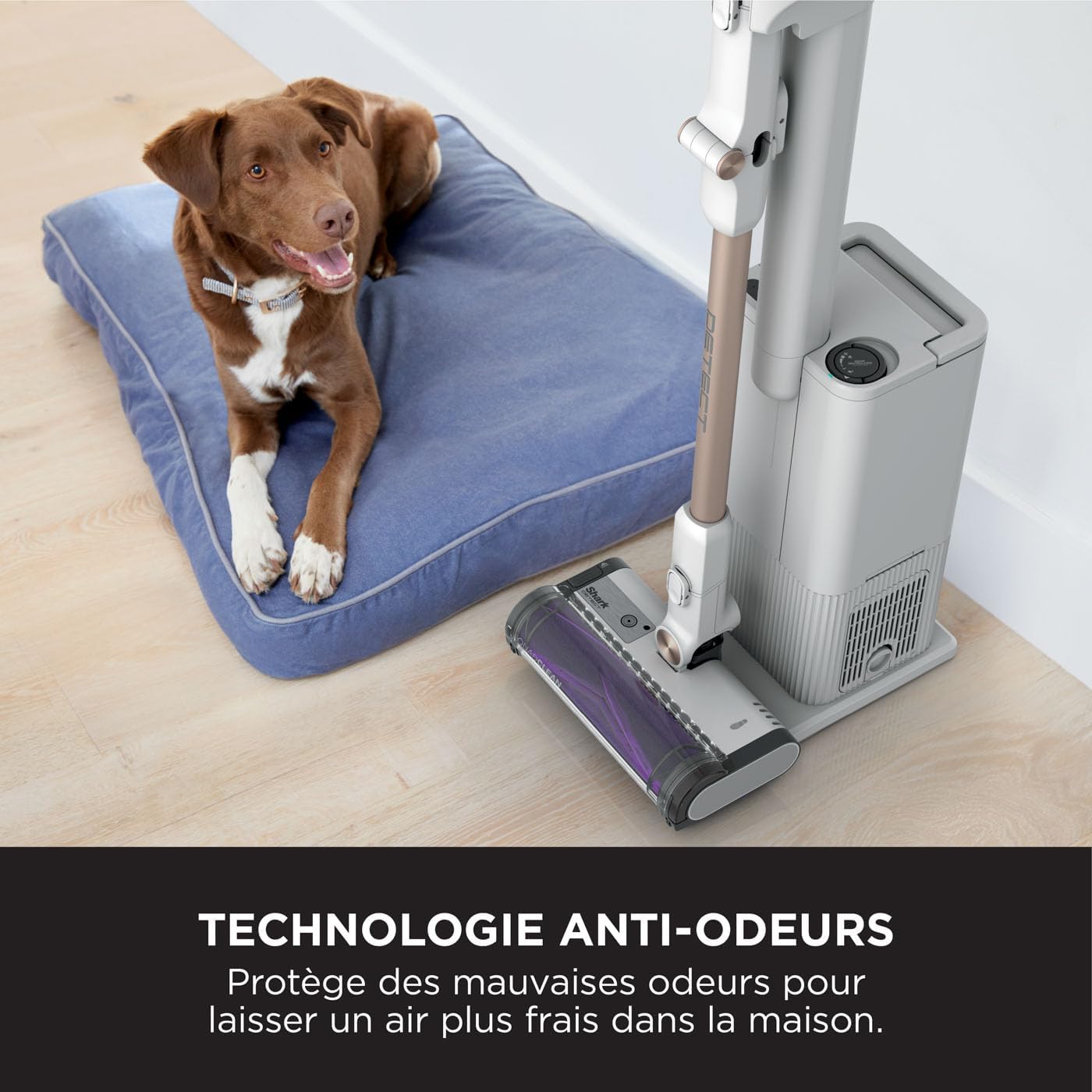 Shark Detect Clean & Empty IW3612AMZEU, Aspirateur sans Fil, Blanc, 240 W, 2 liters
