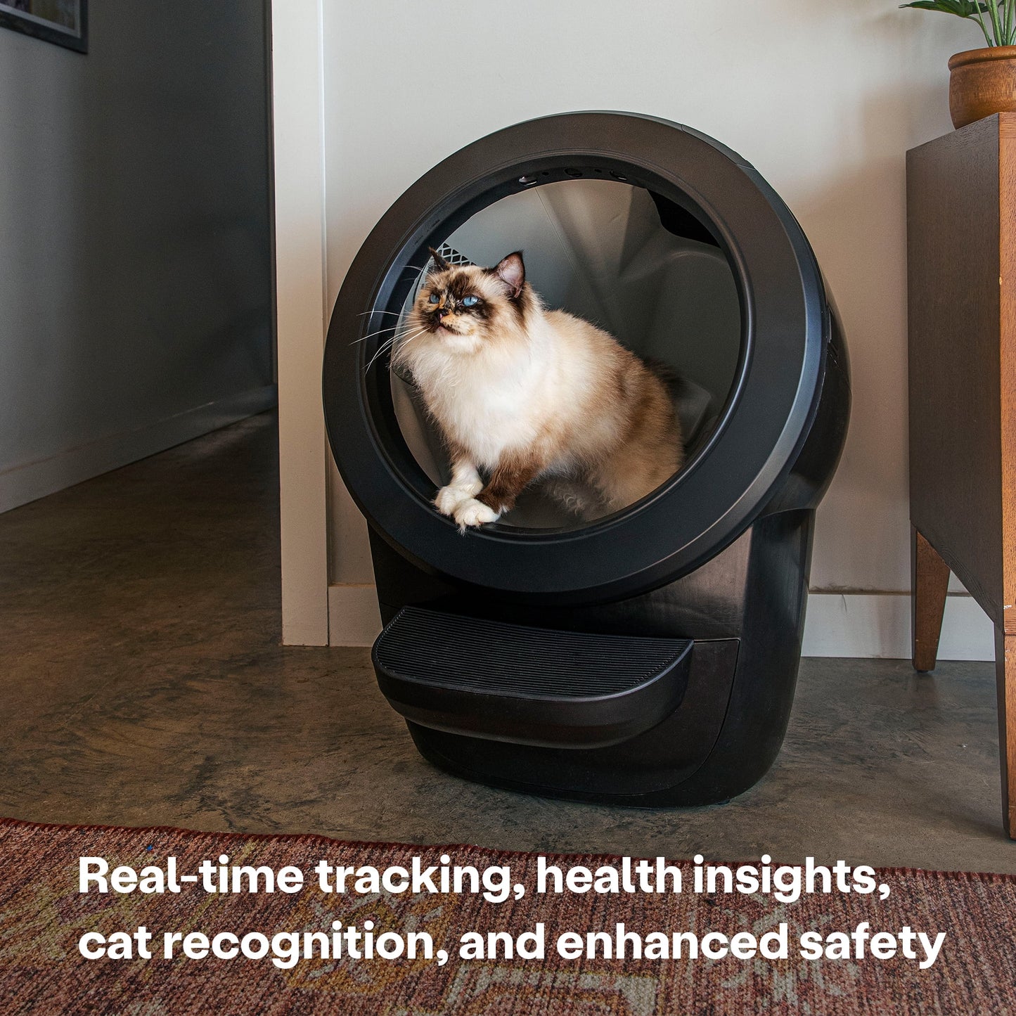 2026 Whisker Litter-Robot 4 avec Marchepied – Bac à Litière Automatique Auto-nettoyant pour Chats, Noir, Technologie Avancée pour un Confort Optimal et Contrôle Intelligent des Déchets